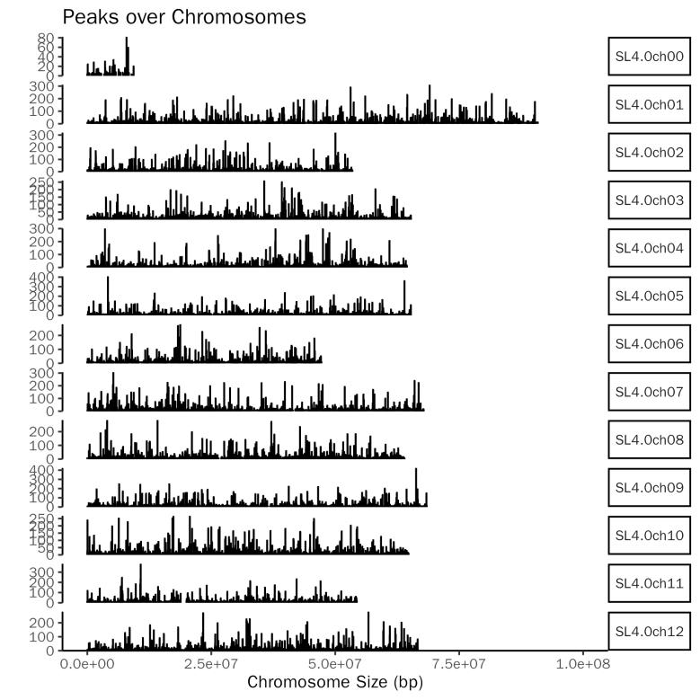 DAP_seq-peak_over_chromosomes.png