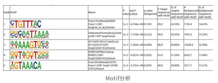ChiP-seq_analysis_copy_JLKX.png